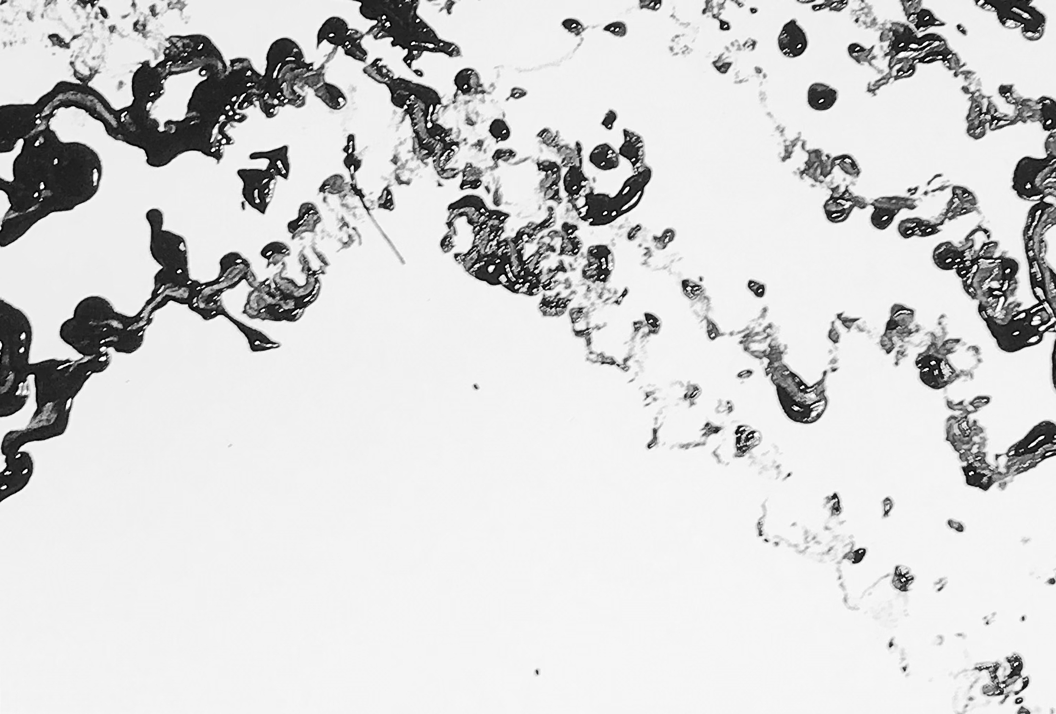 Gestaltology Encoded ""